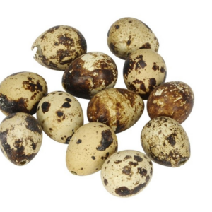 Vagtelæg 3cm (48stk.) - natur